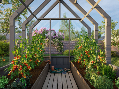 Emilia S (2.4x2.4m | 5.4m2 | 18mm) Compact Premium Greenhouse (Painted Grey or Pressure Treated) - Palmako UK