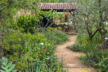 Our highlights from the RHS Chelsea Flower Show