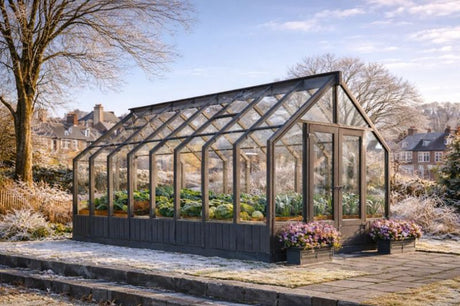 What can I grow in a greenhouse in winter?