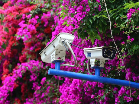 Garden security: tips for securing gardens and outbuildings