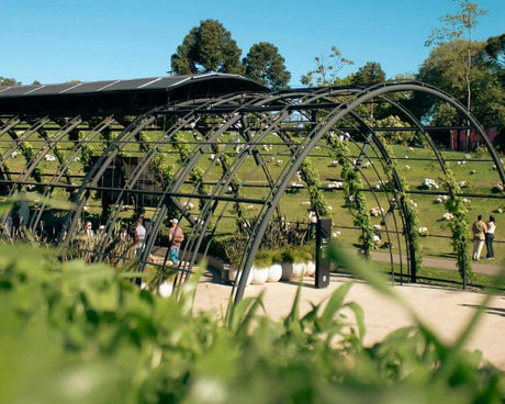 Living willow structures - grow your own gazebo, arches and pergolas