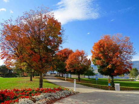 The best gardens to visit this autumn?