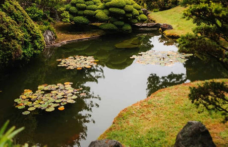 Make a garden pond; the finishing touch for a summer house