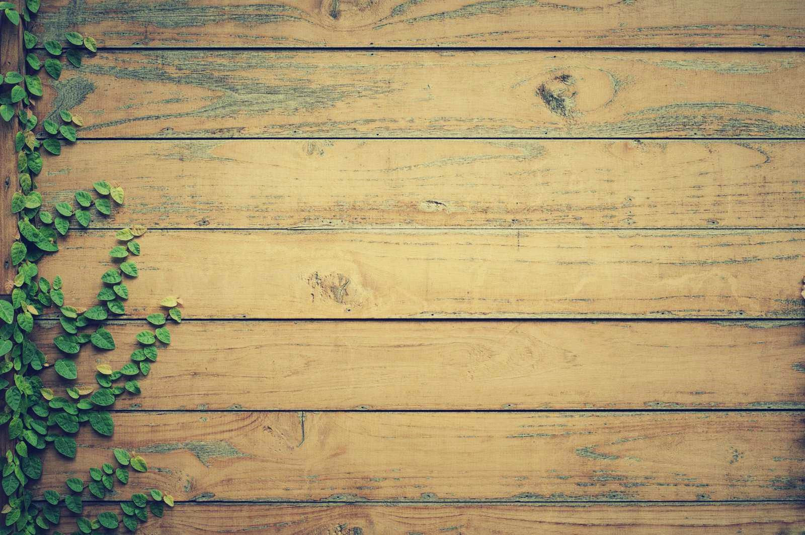 What’s the best eco-friendly timber treatment?