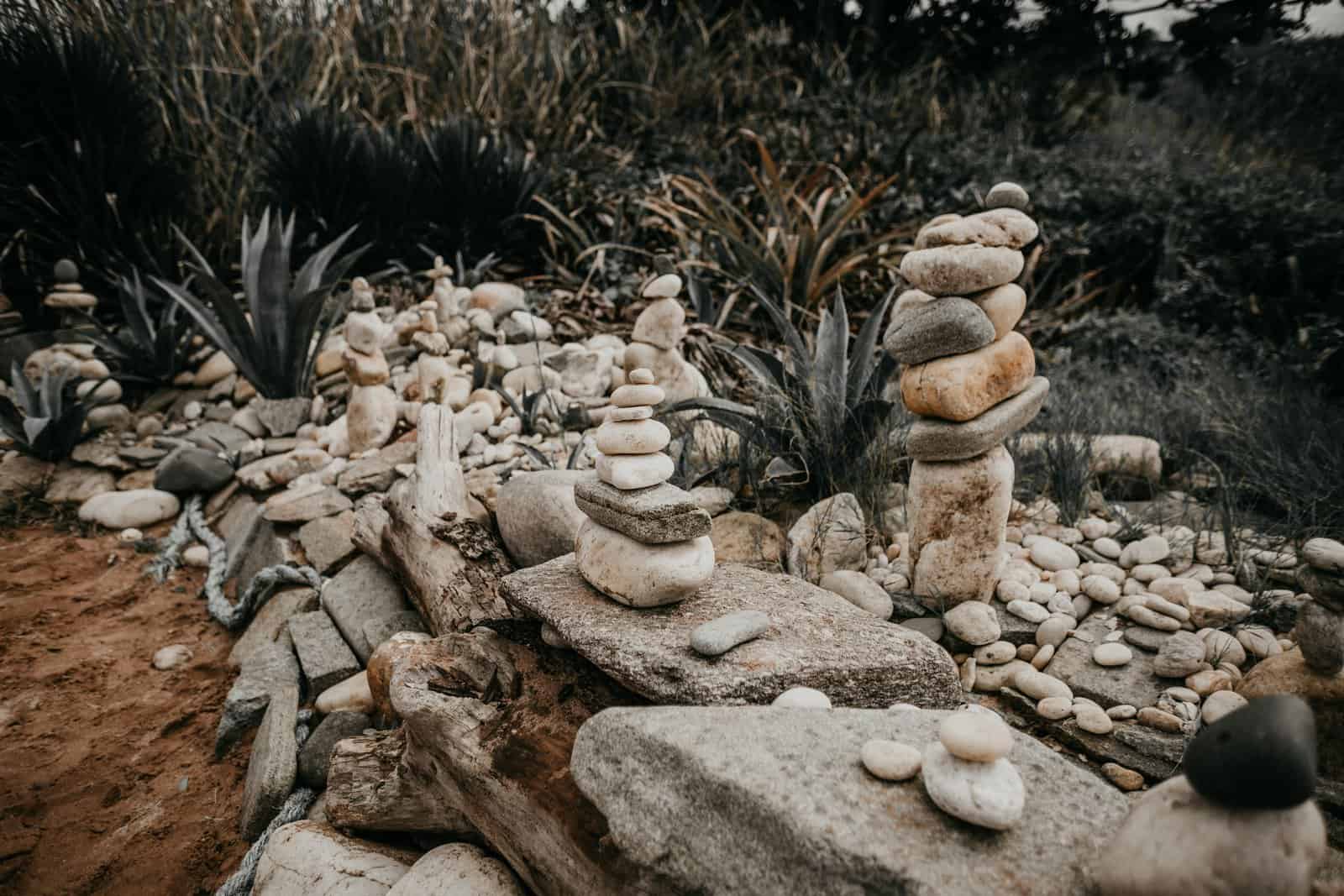 How to use rocks to make your garden design more interesting