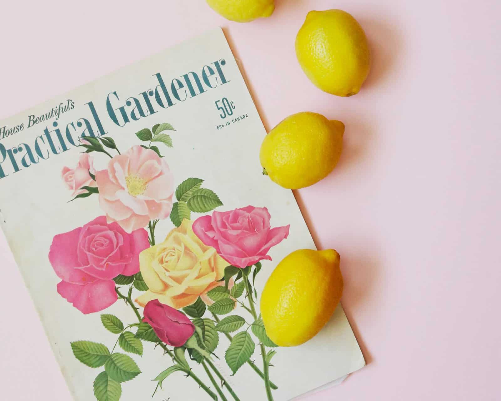 The best gardening magazines for inspiration