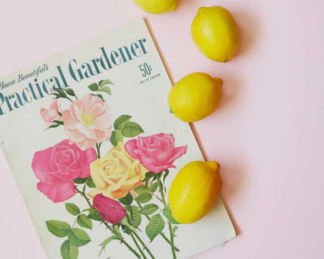 The best gardening magazines for inspiration