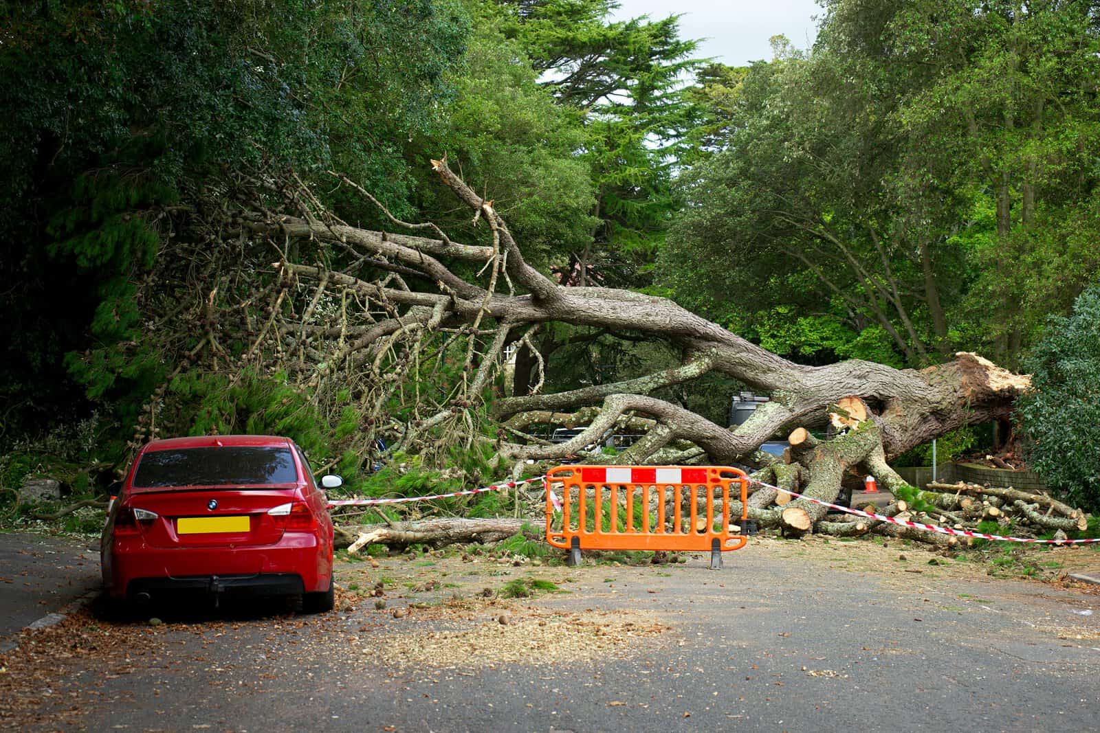 Does home insurance cover garden buildings?