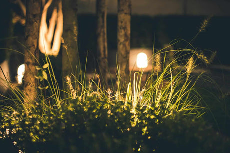 The best outdoor lights for your garden?