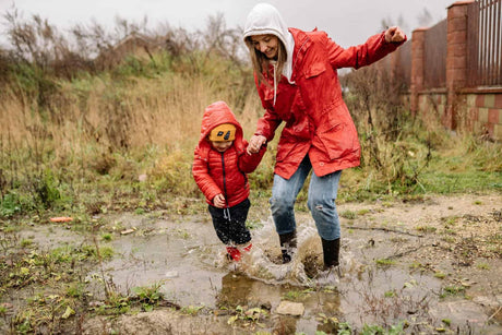 Your rain garden guide - construction, location, plants and more