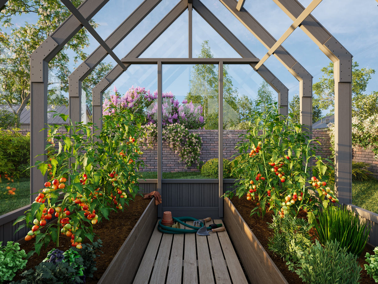 Emilia S (2.4x2.4m | 5.4m2 | 18mm) Compact Premium Greenhouse (Painted Grey or Pressure Treated)