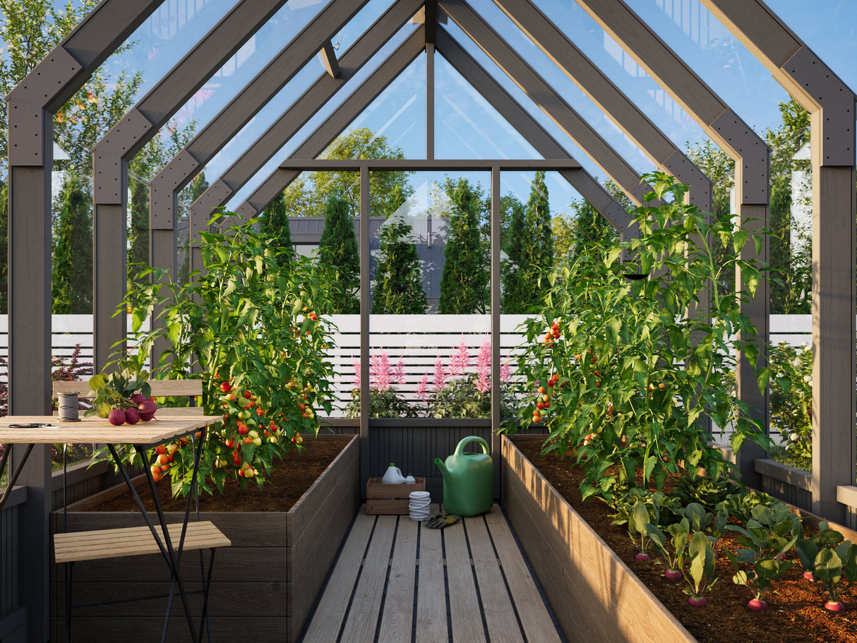 Emilia M (2.4x3.6m | 8.2m2 | 18mm) Modern Greenhouse (Painted Grey or Pressure Treated)
