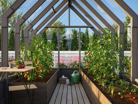 Emilia M (2.4x3.6m | 8.2m2 | 18mm) Modern Greenhouse (Painted Grey or Pressure Treated)